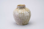 Sadamitsu Sugimoto Wood-Fired Jar